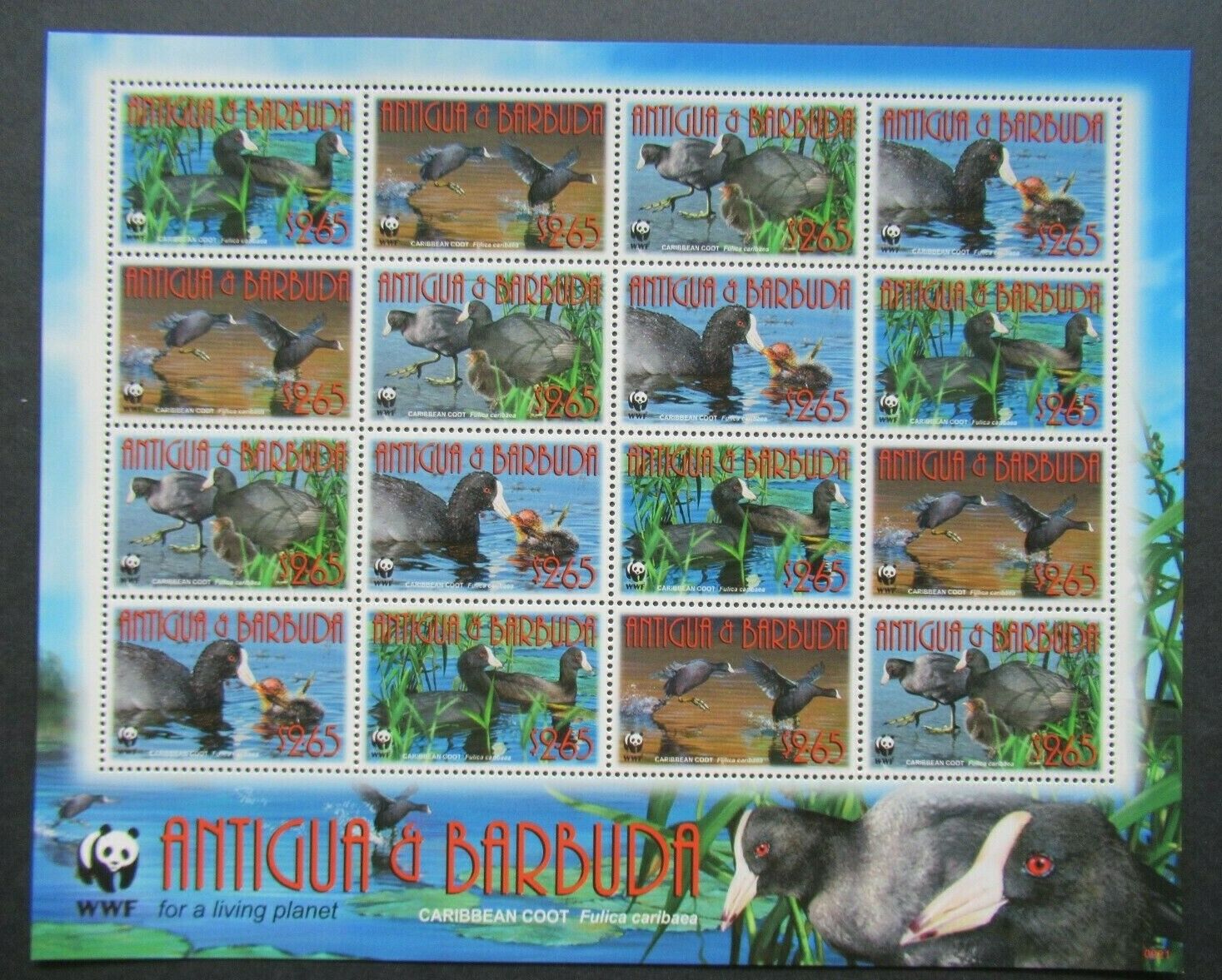 Recent Sheet 16x $2,65 Antigua & Barbuda World Wildlife Wwf Vf Mnh B383.12 $0.99