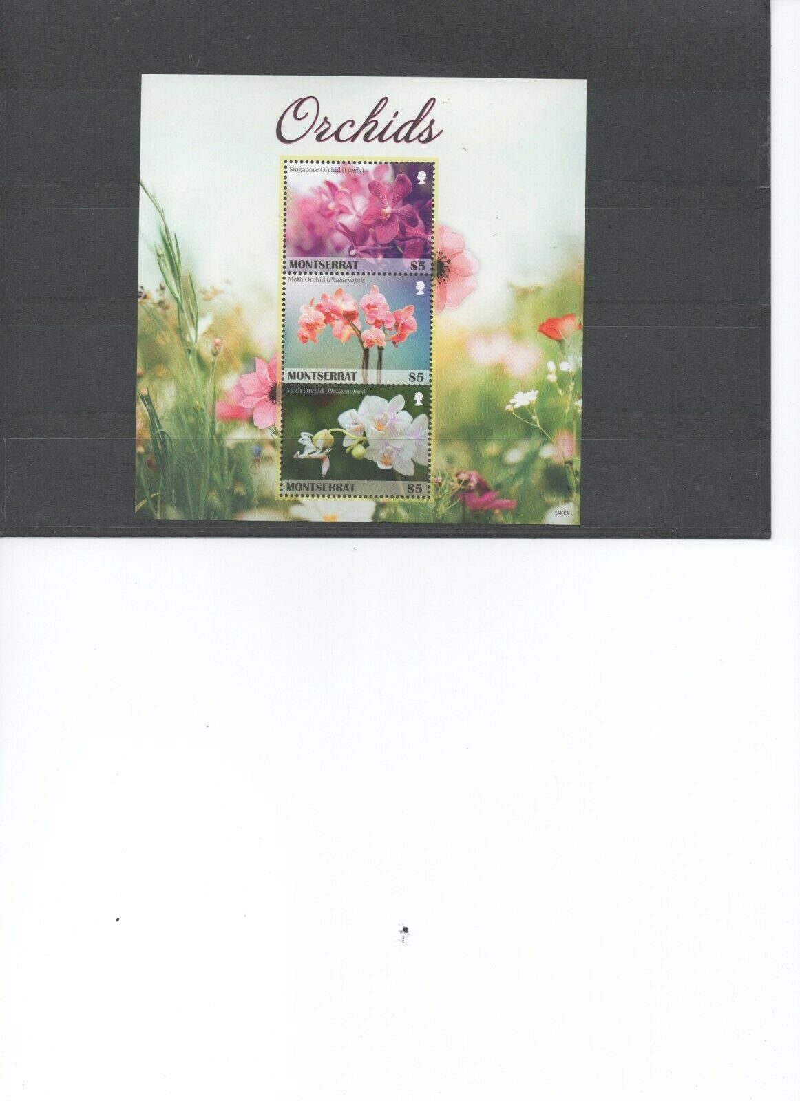 Montserrat 2019 Mnh Souvenier Sheet Of Orchids