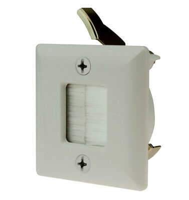 Wall Plate: 1 3/4inch Hole Saw Plate With Brushes  White