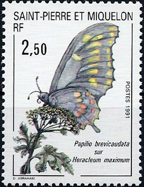 1991 "st. Pierre+miquelon" Butterflies, Papillons, Farfalle Vf/mnh! Look!