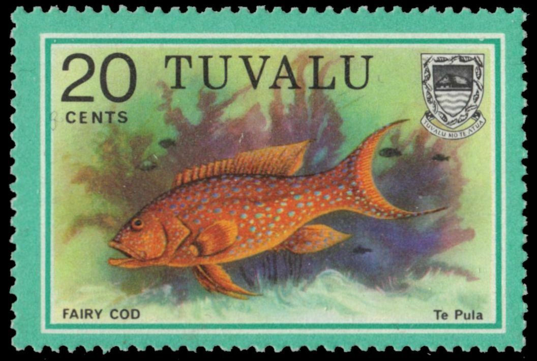 Tuvalu 104 (sg113) - Marine Life "fairy Cod " (pa94415)