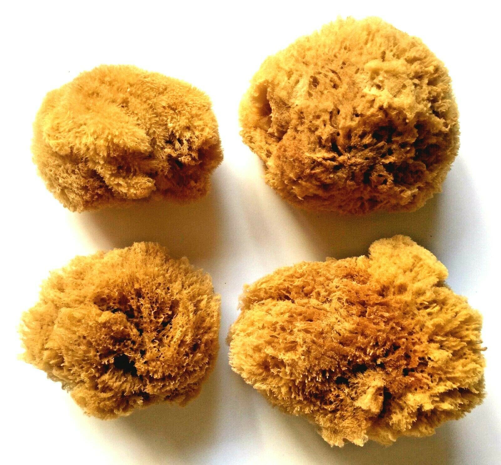 Lot Of 4 Natural Painting Sea Sponge 4"-5" And 5"-6" Size For Artists, Crafts,