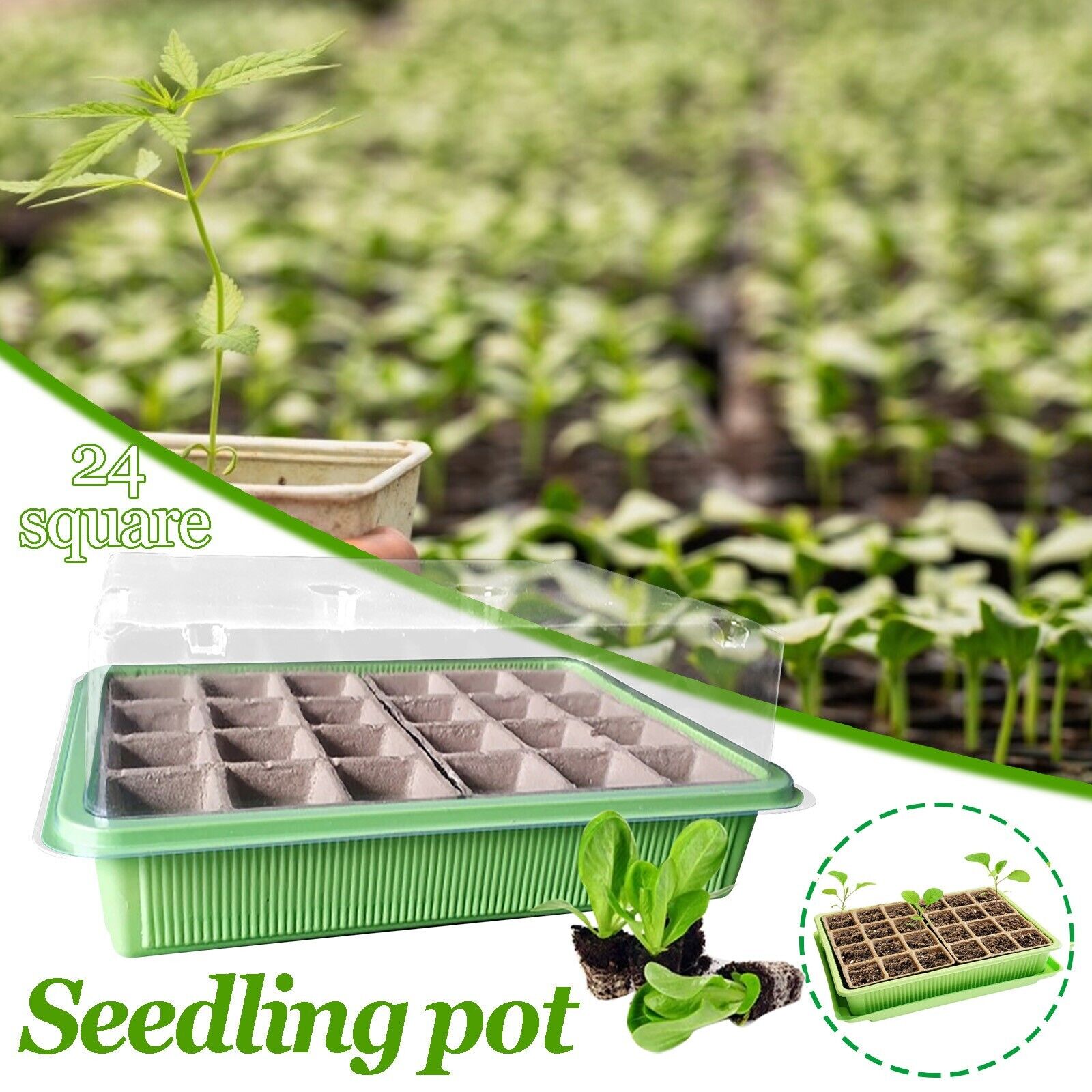 24 Cells Gardening Mini Breathable Lids Plastic Germination Box Nursery Pots