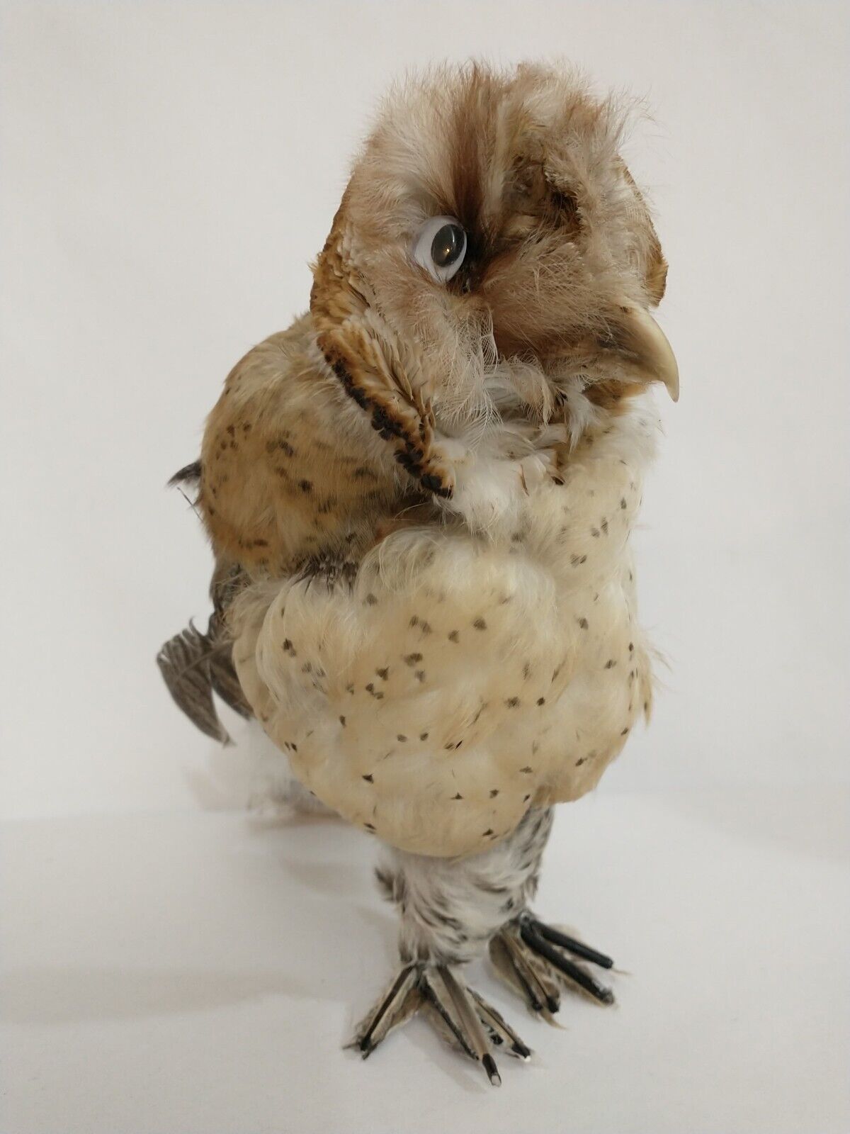Taxidermy Tawny 8" Owl