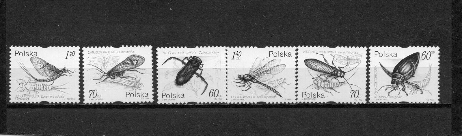 Poland 1999 Insects Set Of 6 Stamps Mnh
