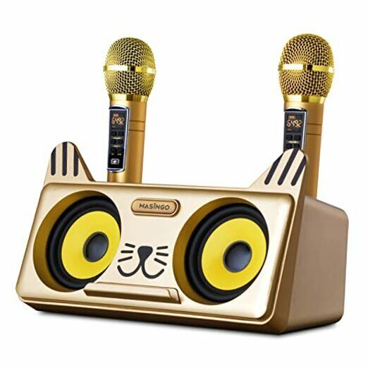 Portable Kitty Cat Karaoke Machine For Kids, Children, & Toddlers W/bluetooth