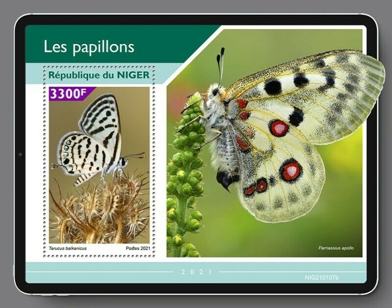 Niger - 2021 Balkan Pierrot Butterflies - Stamp Souvenir Sheet - Nig210107b