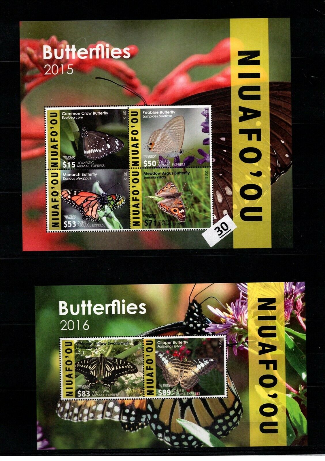 / Niuafo'ou - Mnh - Nature - Butterflies - Plants - Flowers