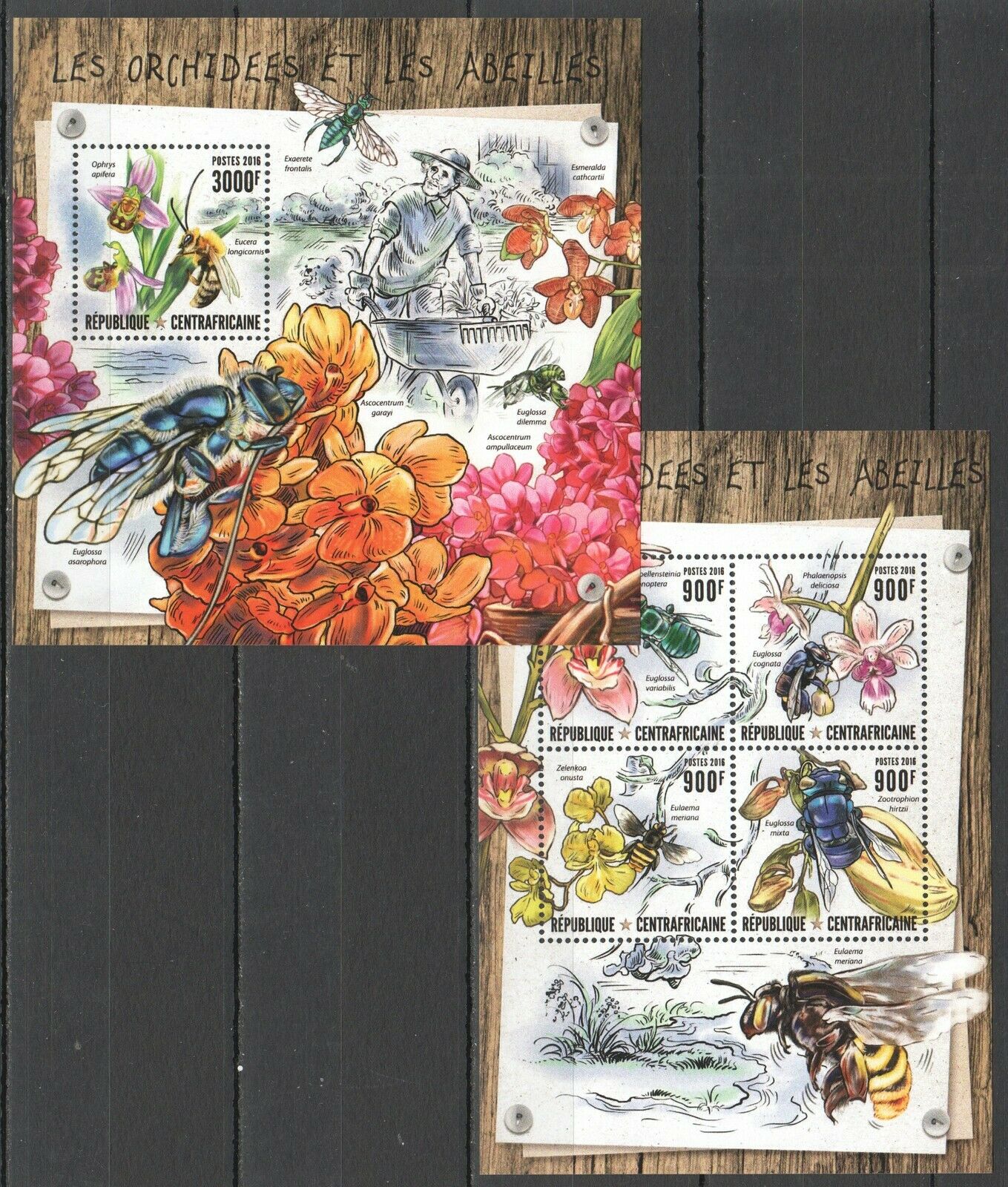 Ca085 2016 Central Africa Nature Flowers Bees Orchidees Les Abeilles Kb+bl Mnh
